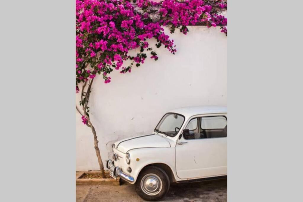 Mojacar Pueblo - Traditional Village House - The Old Jewish Quarter Buitenkant foto